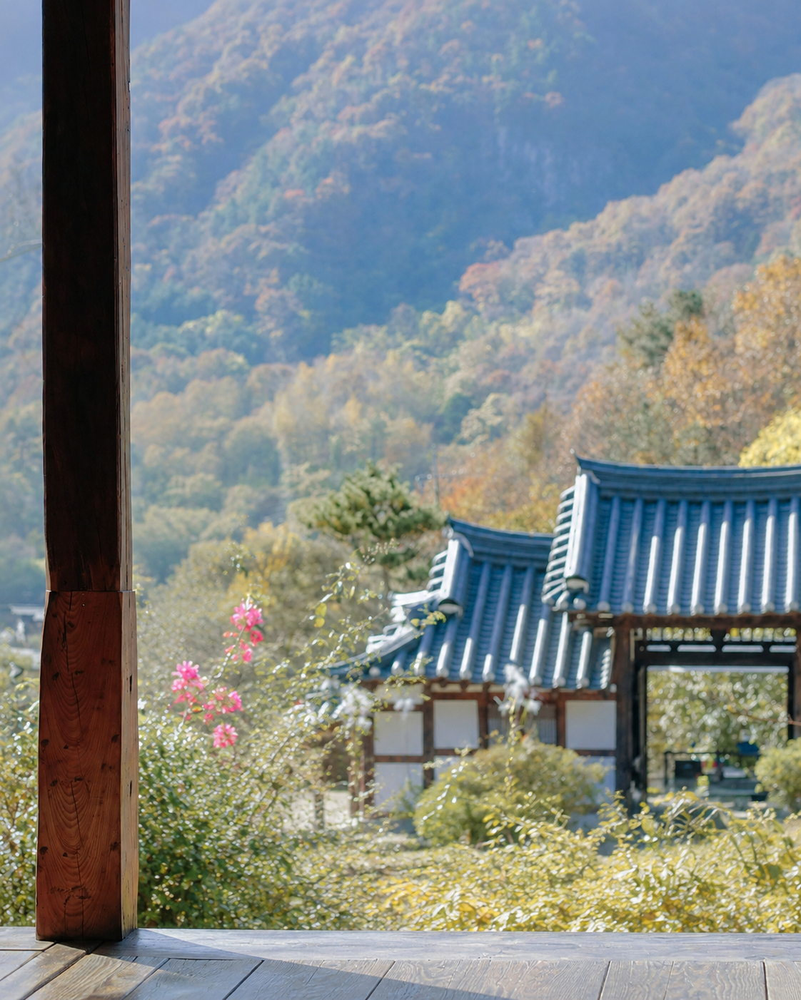韓屋の縁側から山と緑を望む韓国旅行のイメージ